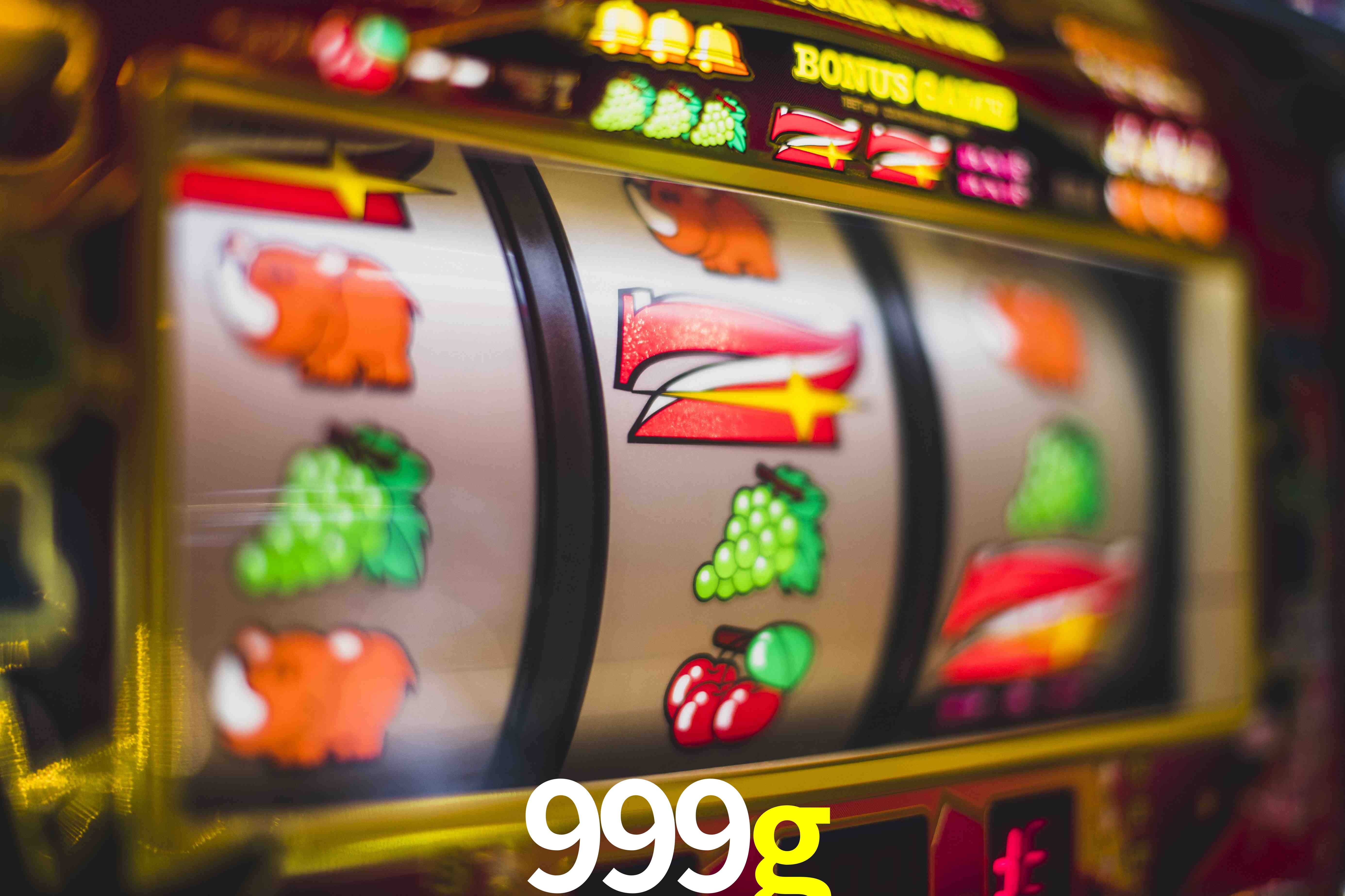Experiência VIP 999g
